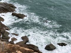 -广东惠东海龟国家级自然保护区