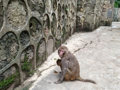 -黔灵山公园