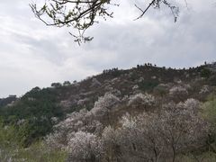 -蟠龙山长城景区