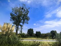 -盘龙城国家考古遗址公园