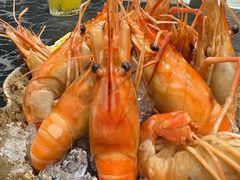 -樱之盛宴·蟹料理海鲜自助(前进大街店)