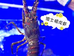 波士顿大龙虾-港迹·鲜围煮海鲜火锅(湖州时代广场店)