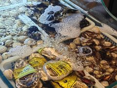 -鑫正兴东北烧烤(滨湖店)