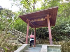 -清溪森林公园