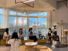 -Heymao猫咖.咖啡厅(东门店)