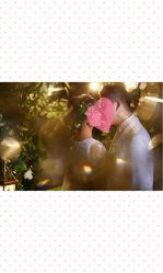 -金夫人婚纱摄影(华南店)