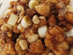 -邵年鸽(杨庄店)