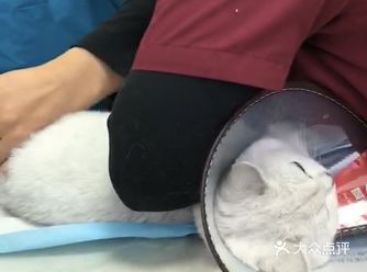 家里的祖宗病了，流口水，医生给做了详细的检查