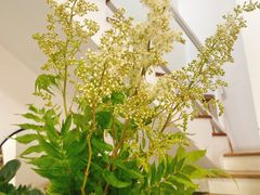 -森野花艺培训·企业团建活动沙龙