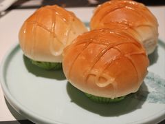 -新兴·金羊座·粤菜点心(乐峰店)