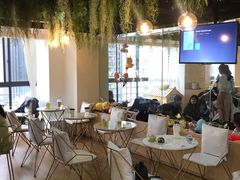 -Husky Go! 哈士奇体验馆·宠物咖啡厅狗咖