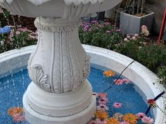 -秀儿家の小确幸花园西餐厅