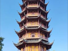 -红梅公园