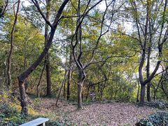 -南京金牛湖风景区