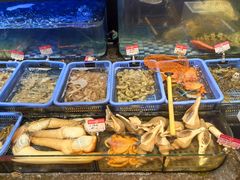 -吴记富苑(朝阳店)