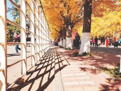 -辽宁大学(崇山校区)