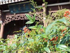 -万景茶庄·台州菜
