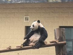 -石家庄市动物园