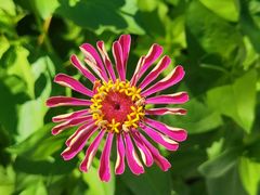 -杜氏旅游度假区