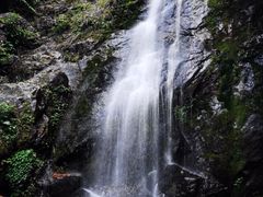 -江西阳明山国家森林公园