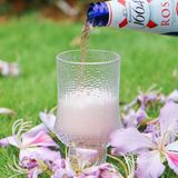 美团外卖｜春季微醺，走进1664的樱花浪漫！