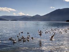 -丽江泸沽湖景区