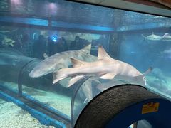 -福州罗源湾海洋世界旅游区