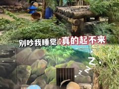 -杭州动物园