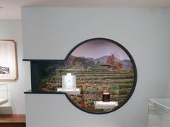 -中国茶叶博物馆(双峰馆区)