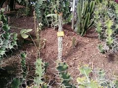 -南通洲际绿博园