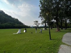 -顺峰山公园