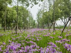 -嘉北郊野公园