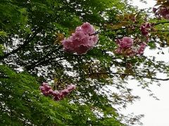 -杭州城北体育公园