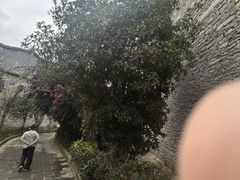 -高荡千年布依古寨旅游景区