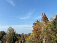 -慈城古县城景区