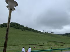 -关山草原