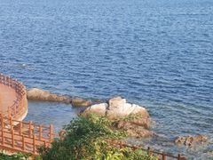 -养马岛旅游度假区