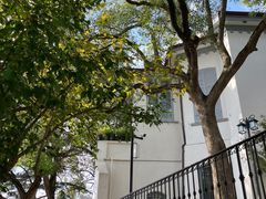 -上海佘山国家森林公园西佘山园