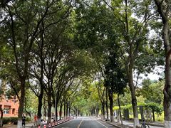 -华南理工大学(大学城校区)