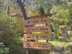 -苍山感通索道
