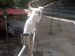 -西安秦岭野生动物园