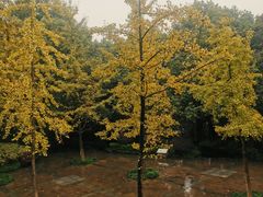 -杭州半山国家森林公园