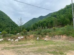 -将军关探险漂流