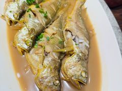 -单家老院·院子里的青岛菜(沙子口店)
