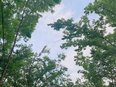 -八大山人梅湖景区