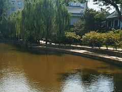 -团结湖公园