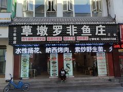 -草墩罗非鱼庄•野生菌•腊排骨(七星街上段店)