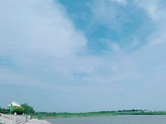 -大港湿地公园
