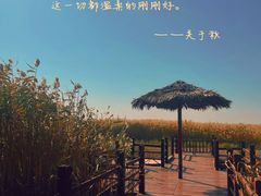 -东方华地城湿地温泉度假区