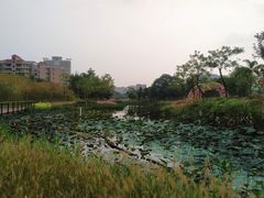 -映月湖公园